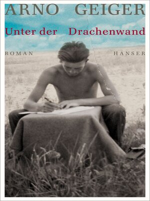cover image of Unter der Drachenwand